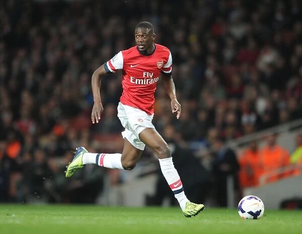 Yaya Sanogo in Action: Arsenal vs Newcastle United, Premier League 2013-14