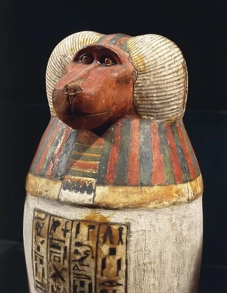 Canopic vase of Padiuf, priest of Amon (1069-664 BC) Hapi in baboon form, painted wood