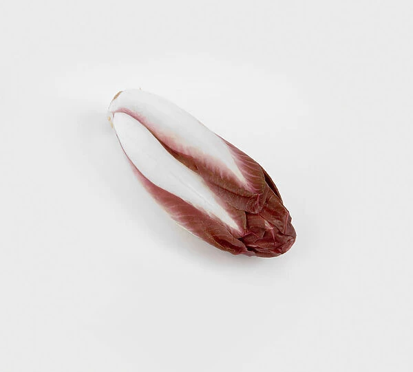 Fresh organic Cichorium intybus (Red Chicory)