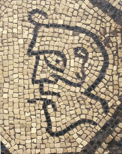 Italy, Friuli Venezia Giulia, Aquileia, Udine province, Patriarchal Basilica of Saint Mary, Early Christian mosaic flooring representing the Devil