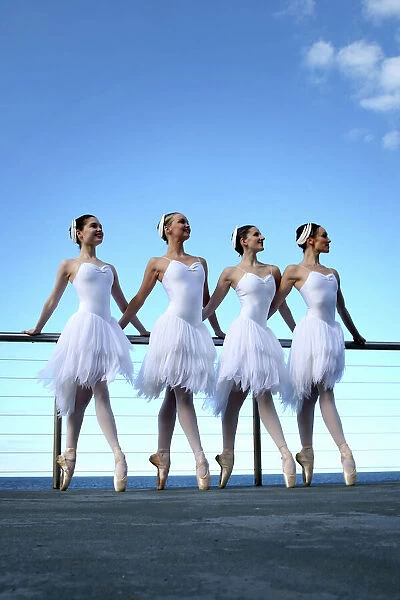 Ballet Swans