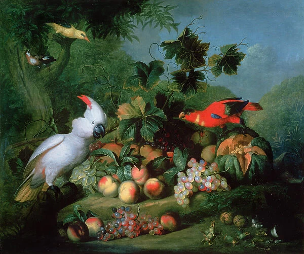 Fruit and Birds