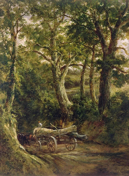 Gathering Timber (oil on canvas)