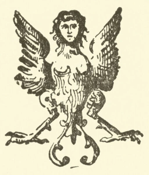 Harpy (engraving)