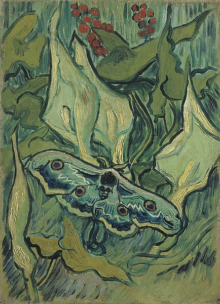 Le grand paon vert (sphinx tete de mort) - Peinture de Vincent van Gogh (1853-1890), huile sur toile (33, 5x24, 5 cm), 1889 - (Green Peacock Moth (The Emperor Moth), oil on canvas by Vincent van Gogh) - Van Gogh Museum, Amsterdam (Pays Bas)