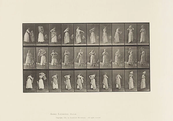 Plate 495. Miscellaneous Phases of the Toilet, 1885 (collotype on paper)
