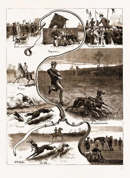 The Dog Derby: the Trials for the Waterloo Cup, 1883