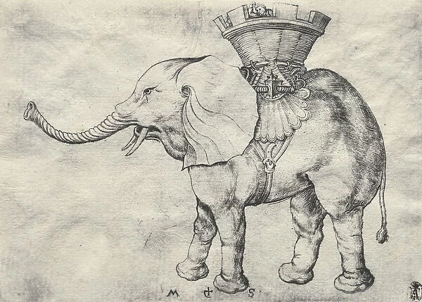 Elephant Howdah 1485 Martin Schongauer German