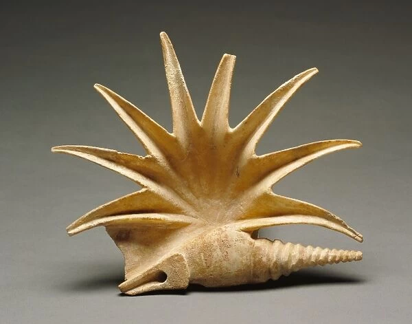 Shell; Unknown; Atalante (?), Greece, Europe; about 425 B.C.; Marble with