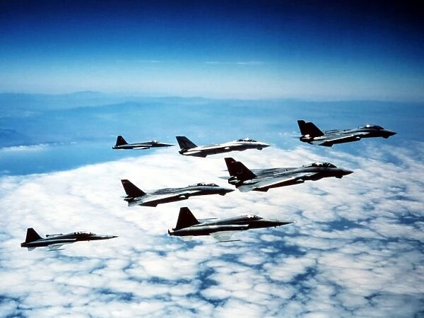 Four F-14 Tomcats and three F-5 Tiger IIs in flight