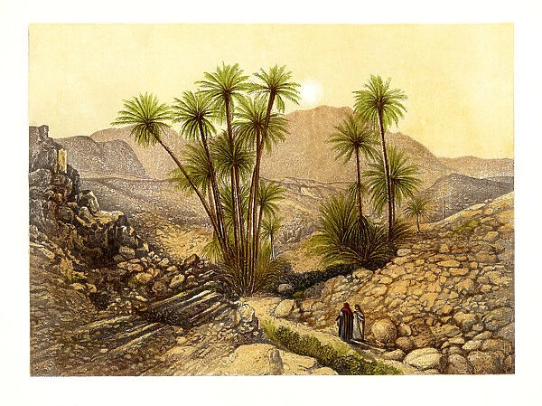 The Desert of Sinai, Egypt, c1870. Artist: W Dickens