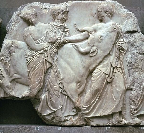 Detail of the Elgin Marbles, 5th century BC. Artist: Phidias