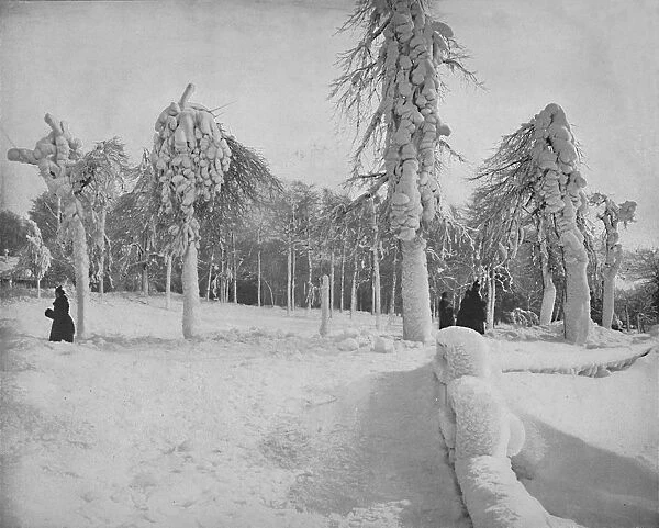 Frost Work in Prospect Park, Niagara, c1897. Creator: Unknown