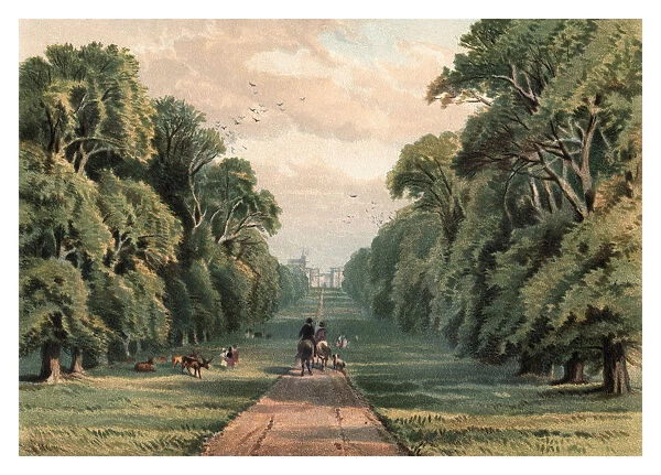 Long Walk, Windsor Park, 1880
