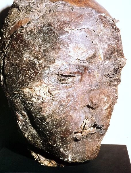 Mummified head of a Scythian chief, 5th century BC