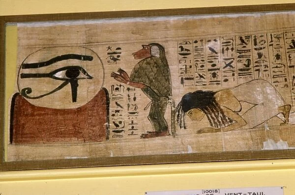 Detail of Papyrus of Hent-Taul, Egypt, 21st Dynasty, c1069 BC - 945 BC