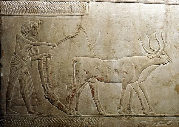 Ploughing from an Egyptian Stele, 18th Dynasty, 1332BC-1323 BC
