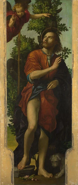 Saint Roch, 1518. Artist: Morando, Paolo (ca 1486  /  8 - 1522)