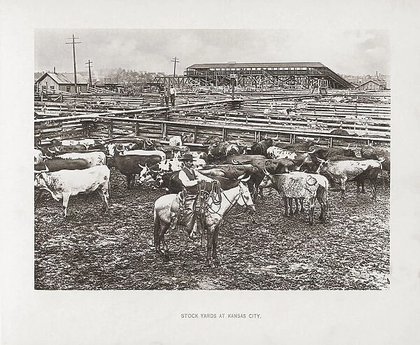 Stock yards, Kansas City, Missouri, USA, in the late 19th century. From the book The United States of America - One Hundred Albertype Illustrations From Recent Negatives of the Most Noted Scenes of Our Country, published 1893; Kansas City, Missouri, United States of America