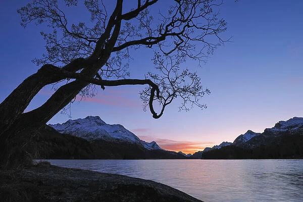 Sunset at Lake Sils, Piz da la Margna, Piz Salacina, Monte Gruf, Piz Lunghin, Engadin, Maloja District, Graubunden, Switzerland