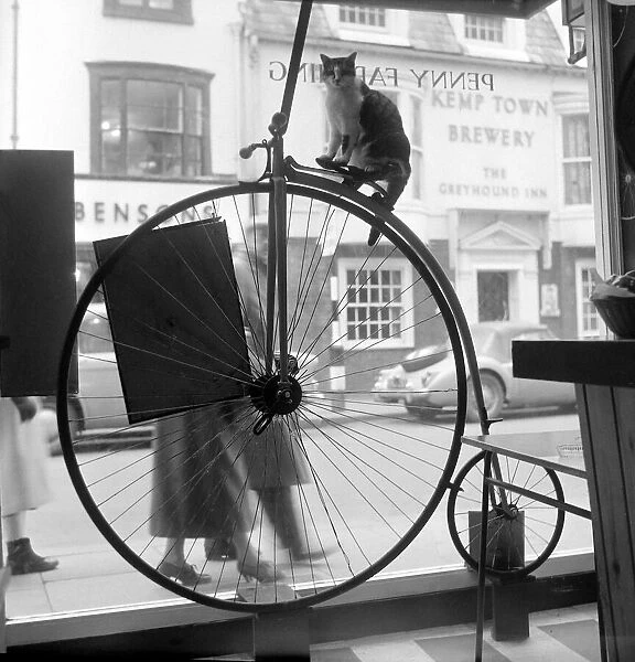 People stand and stare in the window of the Penny Farthing Coffee Bar at Brighton