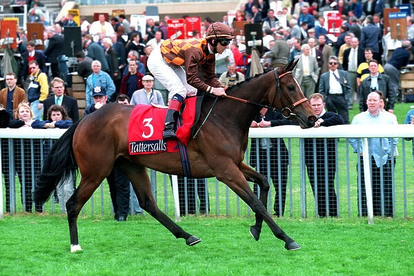 Anna Ridden By D.Harrison 14 May 1998 Date: 14 May 1998