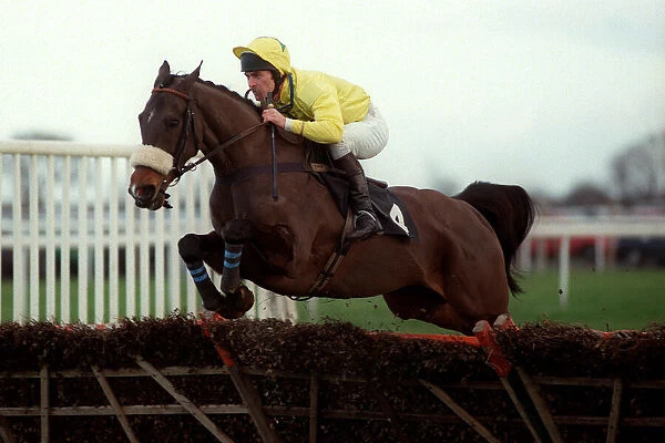 Dato Star Ridden By Lorcan Wyer 26 January 1998 Date: 26 January 1998