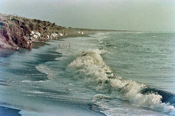 The beach of Cecina