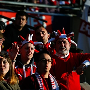 Bristol City FC's Euphoric Wembley Victory: A Sea of Triumphant Fans