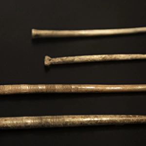 Bone pins. Neolithic. Denmark