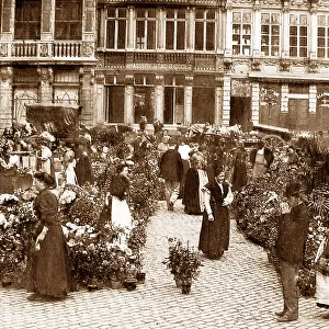 Brussels Flower Market, Belgium