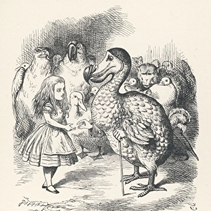 Carroll / Alice & the Dodo