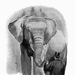 Illustration, man feeding a bun to an elephant