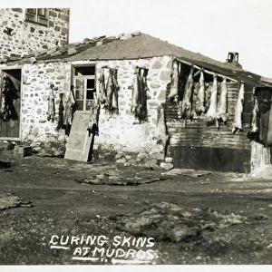 Moudros, Lemnos, Greece - Curing Skins. The sheepskins were used to make shoes, which proved popular purchases for the British Naval personnel who visited Moudros. Date: 1922