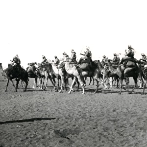 Mounted infantry in the desert, Middle East, WW1