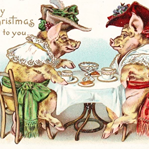 Two pigs enjoying afternoon tea on a Christmas postcard