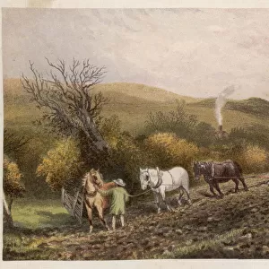 PLOWING WITH HORSES
