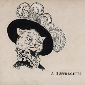 Suffragette Cat in Plumed Hat