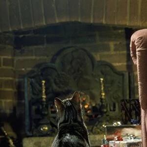 Cat - in front of fire