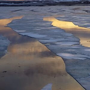 Drift ice in Lady Franklinsfjorden - Svalbard - Norway