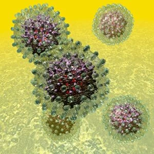 Hepatitis B virus particles, artwork C016 / 9097