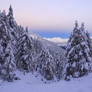 The autumn snowy landscape, Casera Lake, Livrio Valley, Orobie Alps, Valtellina, Lombardy