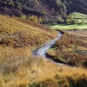 An autumn view of a gate and winding road through the fern covered hills and fells