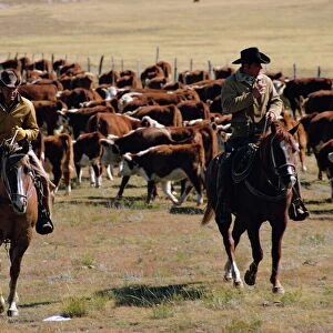 Two cowboys on horseback