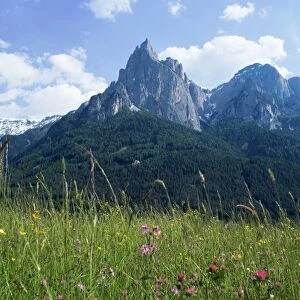 May flowers and Mount Sciliar (Sclern)