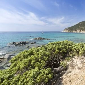 Mediterranean vegetation frames the beach and the turquoise sea of Porto Sa Ruxi