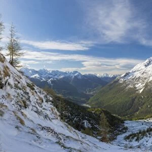 Panorama of Alpe Fora with Monte Disgrazia in the background, Malenco Valley, Province of Sondrio