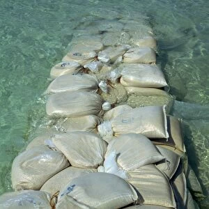 Plastic bags filled with sand as erosion control