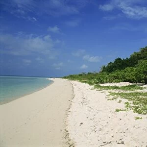 Pulau Sangalakki beach at the Hidden Divers resort