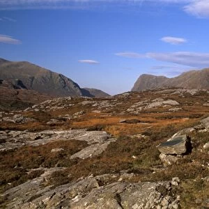 Sheep, rocky outcrops of Forest of Harris